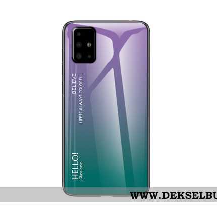 Deksel Samsung Galaxy A71 Glass Etui Myke Lilla, Samsung Galaxy A71 Trend Billig