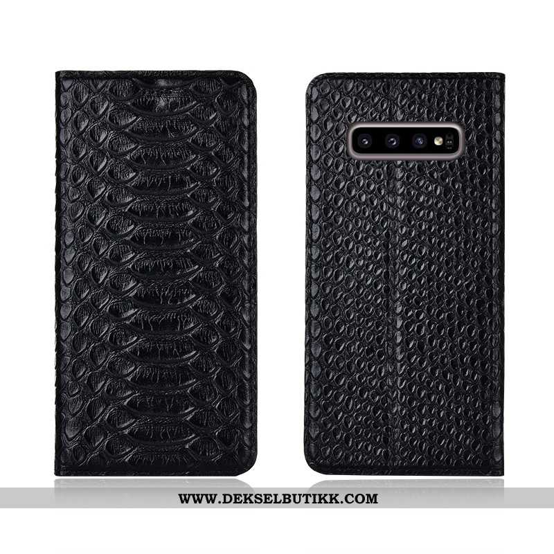 Deksel Samsung Galaxy S10 Beskyttelse Nye Mønster Anti-fall Svart, Etui Samsung Galaxy S10 Skinndeks