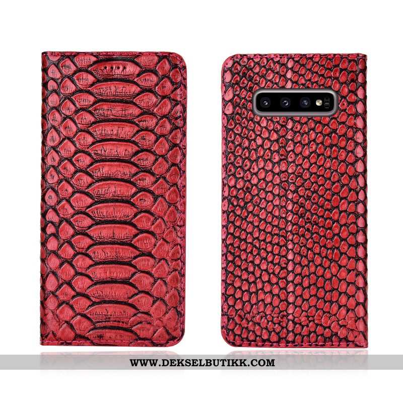 Deksel Samsung Galaxy S10 Beskyttelse Nye Mønster Anti-fall Svart, Etui Samsung Galaxy S10 Skinndeks