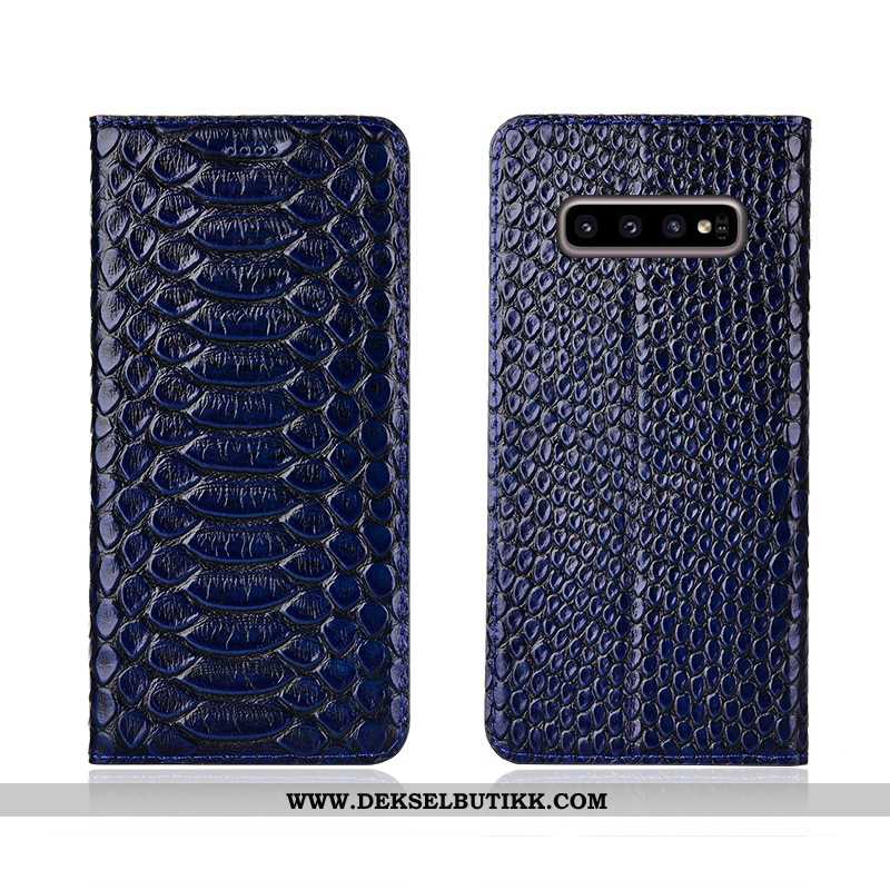 Deksel Samsung Galaxy S10 Beskyttelse Nye Mønster Anti-fall Svart, Etui Samsung Galaxy S10 Skinndeks