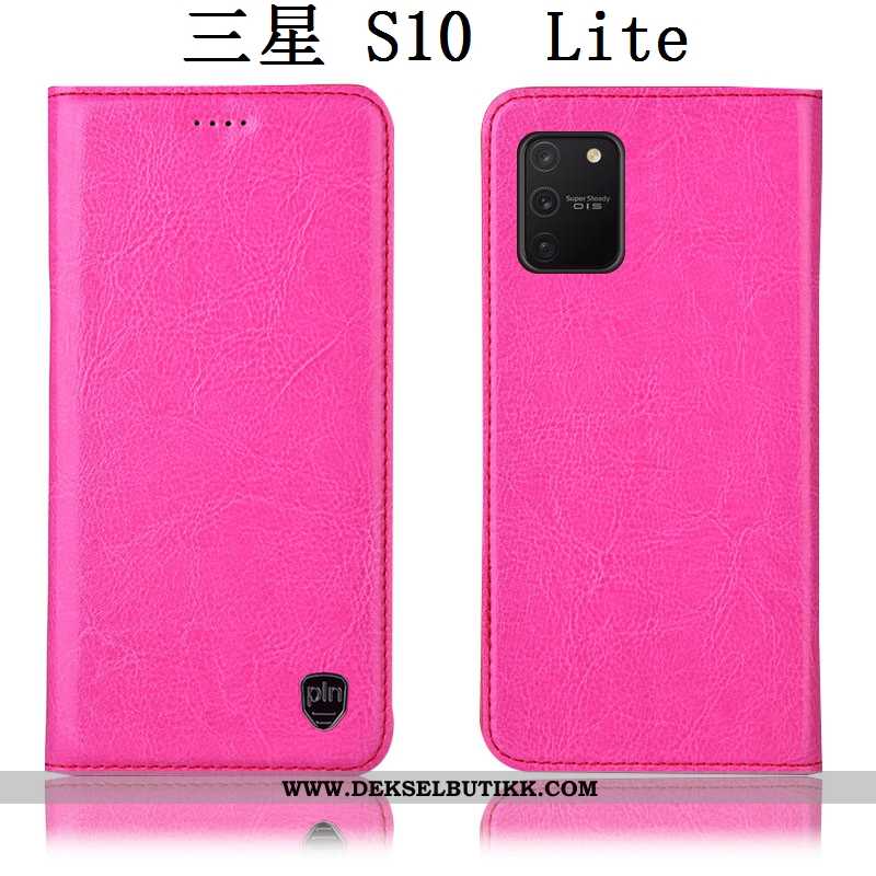 Deksel Samsung Galaxy S10 Lite Skinn Stjernene Etui Brun, Samsung Galaxy S10 Lite Skinndeksel Tilbud