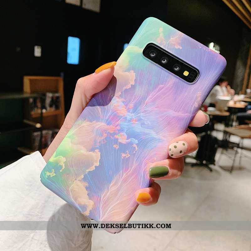 Deksel Samsung Galaxy S10+ Nubuck Kreativ Etui Blå, Samsung Galaxy S10+ Av Personlighet Tilbud