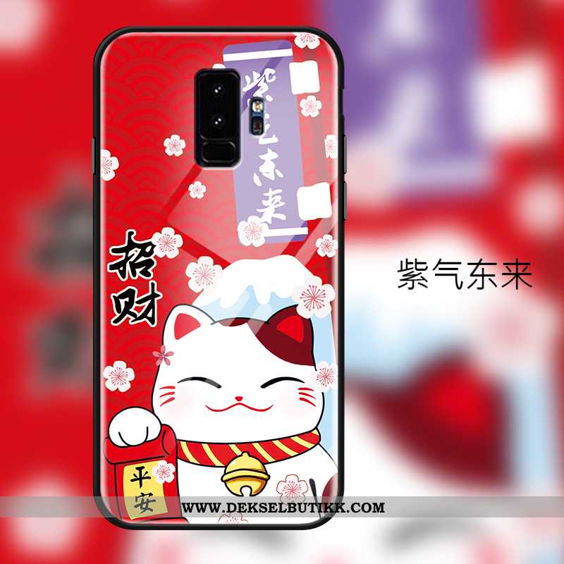 Deksel Samsung Galaxy S9+ Glass Katt Myke Etui Rød, Samsung Galaxy S9+ Cartoon Billige