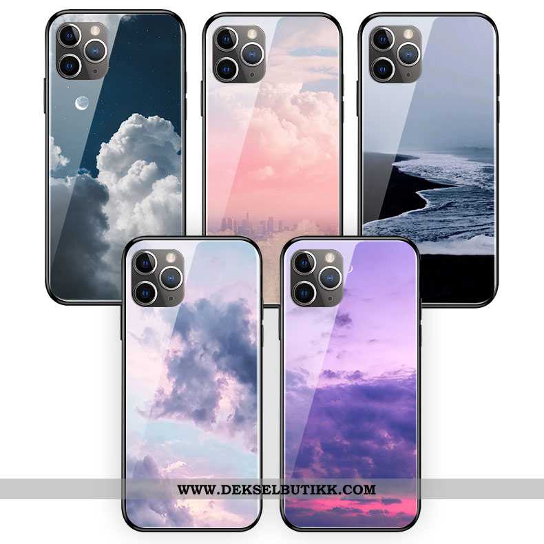 Deksel iPhone 11 Pro Max Beskyttelse Hvit Mobiltelefon Vind Lilla, Etui iPhone 11 Pro Max Glass Tilb