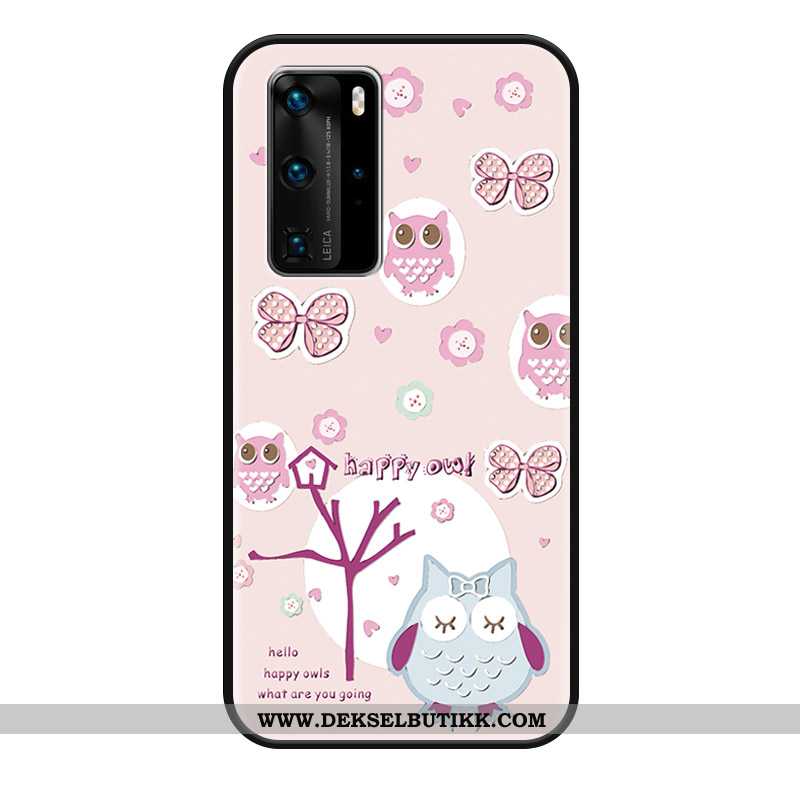 Etui Huawei P40 Pro Relieff Silikon Løvetann Grønn, Deksel Huawei P40 Pro Cartoon Butikk