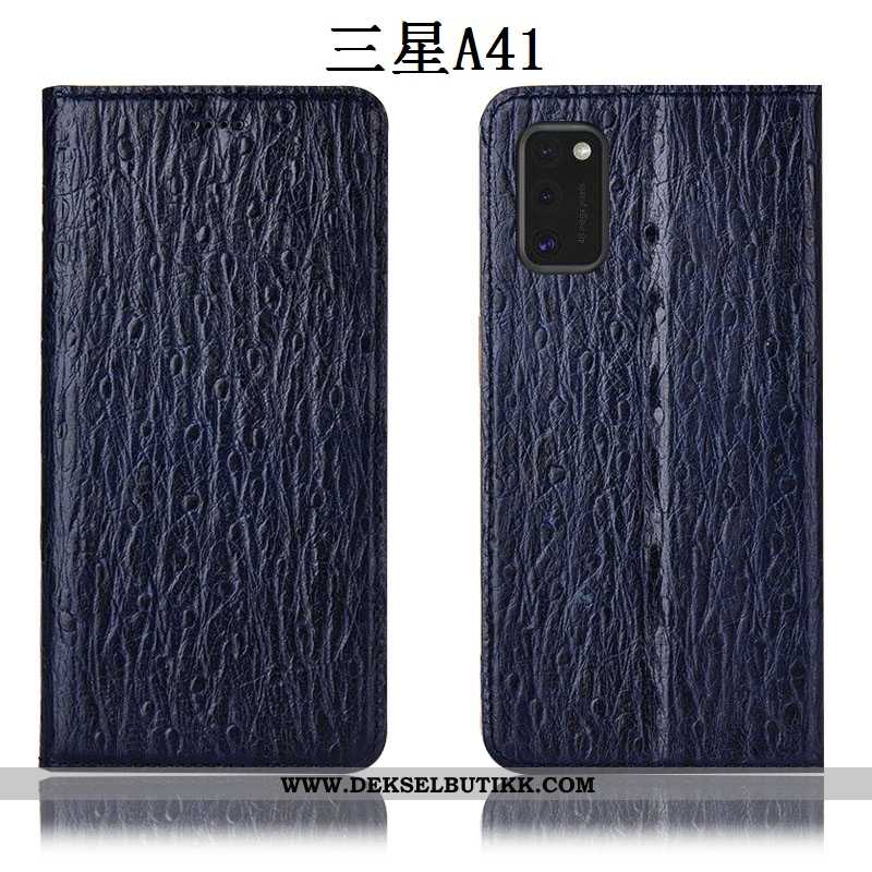 Etui Samsung Galaxy A41 Skinndeksel Anti-fall Fugl Folio Svart, Deksel Samsung Galaxy A41 Beskyttels