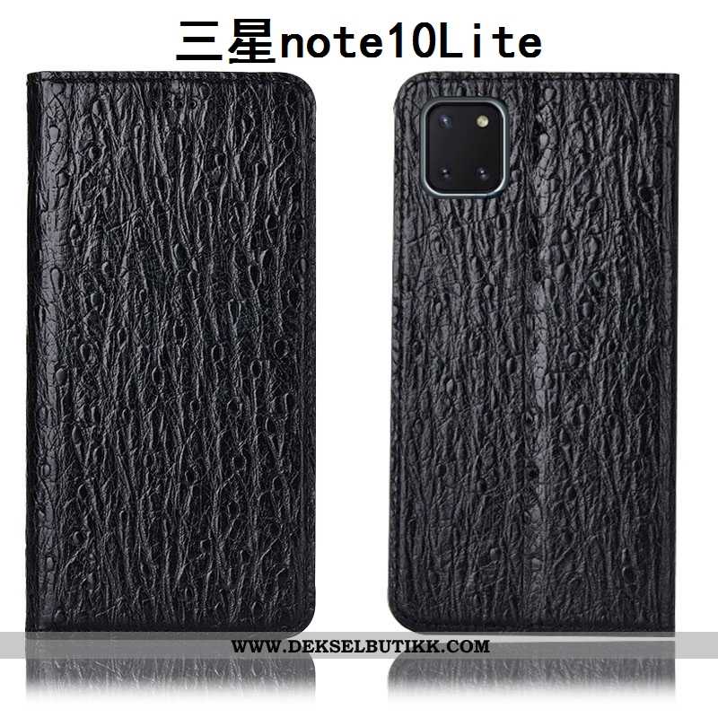 Etui Samsung Galaxy Note 10 Lite Skinn Svart Fugl Stjernene, Deksel Samsung Galaxy Note 10 Lite Besk