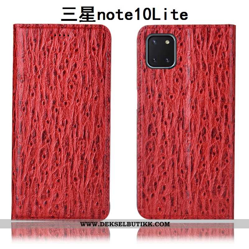 Etui Samsung Galaxy Note 10 Lite Skinn Svart Fugl Stjernene, Deksel Samsung Galaxy Note 10 Lite Besk