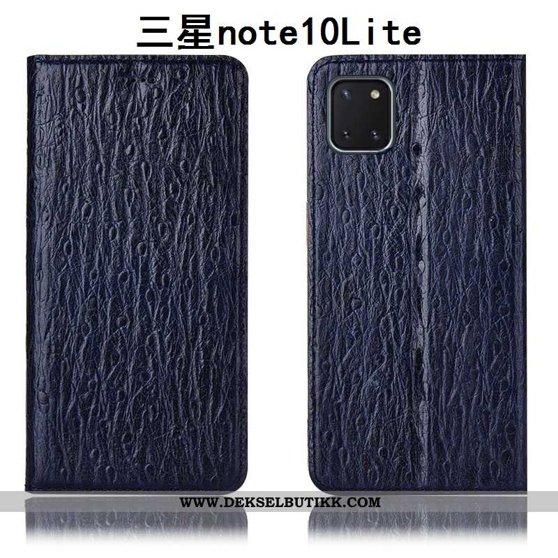 Etui Samsung Galaxy Note 10 Lite Skinn Svart Fugl Stjernene, Deksel Samsung Galaxy Note 10 Lite Besk