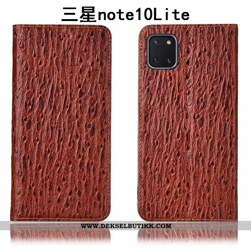 Etui Samsung Galaxy Note 10 Lite Skinn Svart Fugl Stjernene, Deksel Samsung Galaxy Note 10 Lite Besk