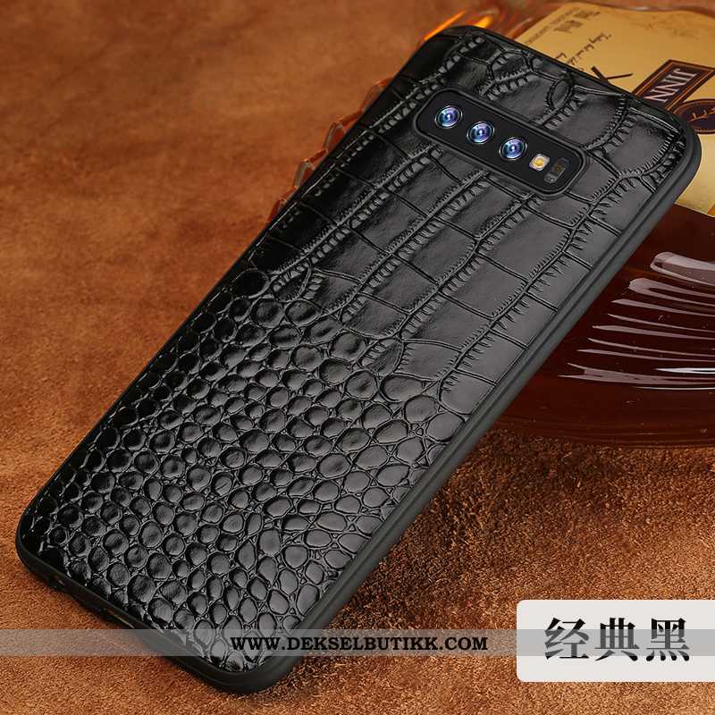 Etui Samsung Galaxy S10 Kreativ Beskyttelse Kvalitet Krokodille Brun, Deksel Samsung Galaxy S10 Skin