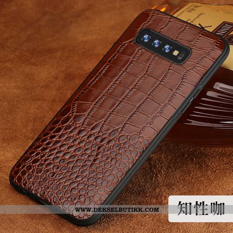 Etui Samsung Galaxy S10 Kreativ Beskyttelse Kvalitet Krokodille Brun, Deksel Samsung Galaxy S10 Skin