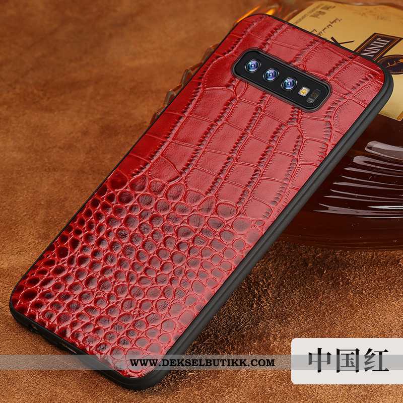 Etui Samsung Galaxy S10 Kreativ Beskyttelse Kvalitet Krokodille Brun, Deksel Samsung Galaxy S10 Skin