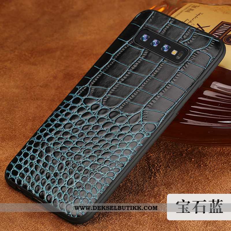 Etui Samsung Galaxy S10 Kreativ Beskyttelse Kvalitet Krokodille Brun, Deksel Samsung Galaxy S10 Skin