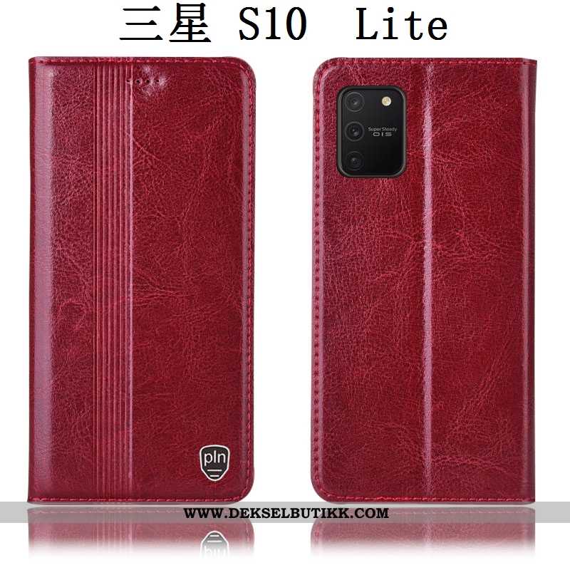 Etui Samsung Galaxy S10 Lite Beskyttelse Folio Stjernene Brun, Deksel Samsung Galaxy S10 Lite Skinnd