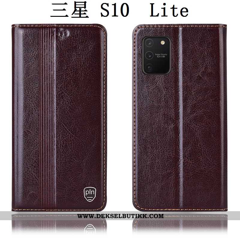 Etui Samsung Galaxy S10 Lite Beskyttelse Folio Stjernene Brun, Deksel Samsung Galaxy S10 Lite Skinnd