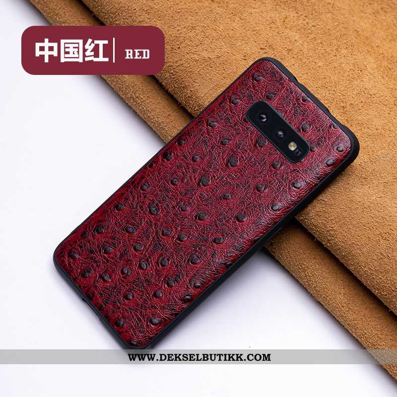 Etui Samsung Galaxy S10e Skinn Lær Beskyttelse Anti-fall Kreativ Blå, Deksel Samsung Galaxy S10e Tre