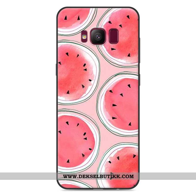 Etui Samsung Galaxy S8 Beskyttelse Grå Myke, Deksel Samsung Galaxy S8 Cartoon Tilbud