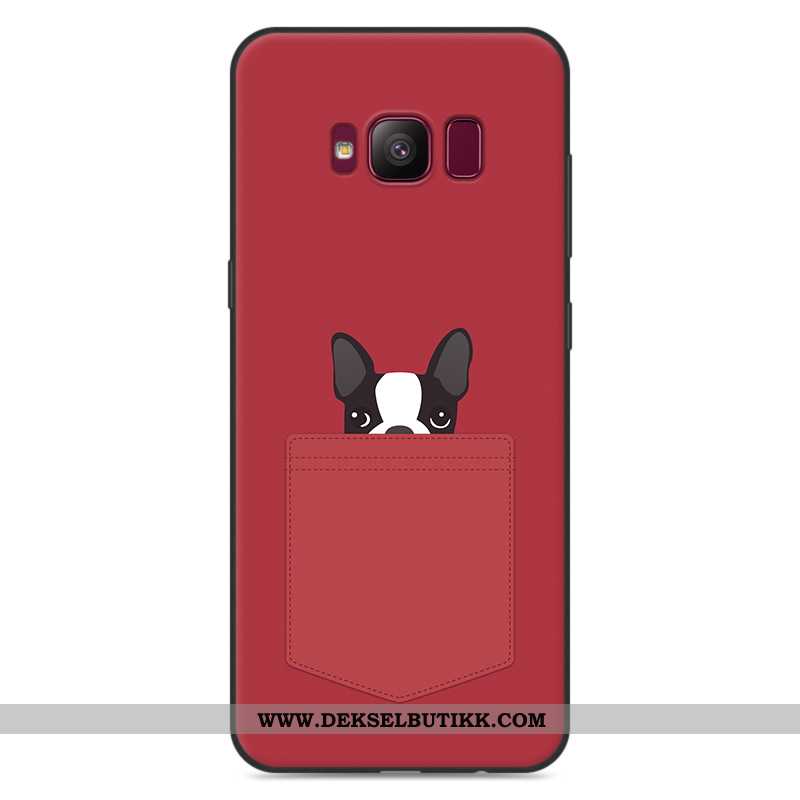 Etui Samsung Galaxy S8+ Myke Lett Luksus Grå Cartoon, Deksel Samsung Galaxy S8+ Silikon Rabatt