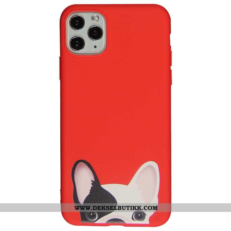 Etui iPhone 11 Pro Silikon Fersk Myke Blå, Deksel iPhone 11 Pro Cartoon Tilbud