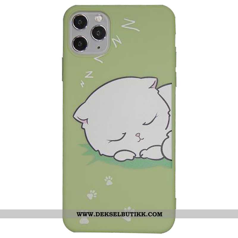 Etui iPhone 11 Pro Silikon Fersk Myke Blå, Deksel iPhone 11 Pro Cartoon Tilbud