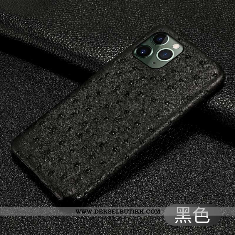 Etui iPhone 11 Pro Skinndeksel Alt Inkludert High End Svart, Deksel iPhone 11 Pro Luksus Tilbud