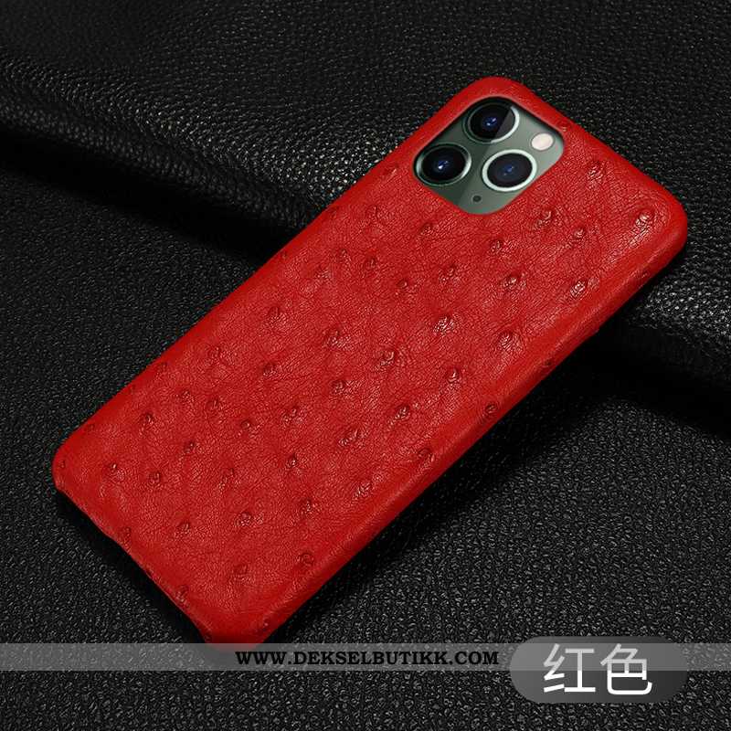 Etui iPhone 11 Pro Skinndeksel Alt Inkludert High End Svart, Deksel iPhone 11 Pro Luksus Tilbud