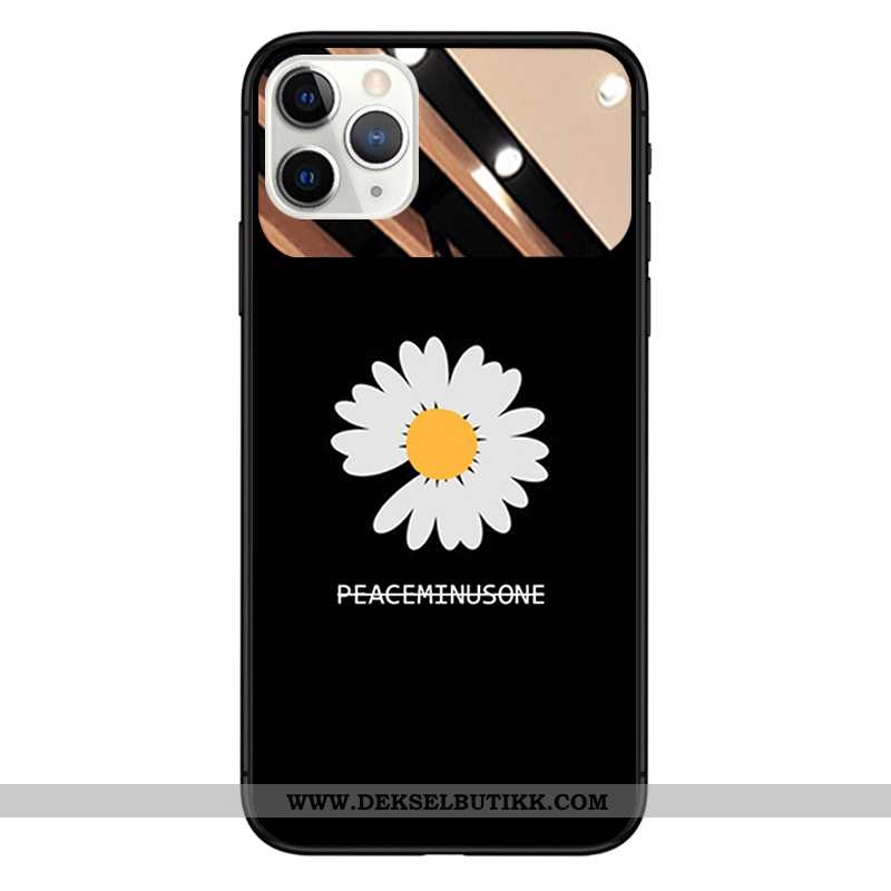 Etui iPhone 11 Trend Deksel Svart, iPhone 11 Glass Tilbud