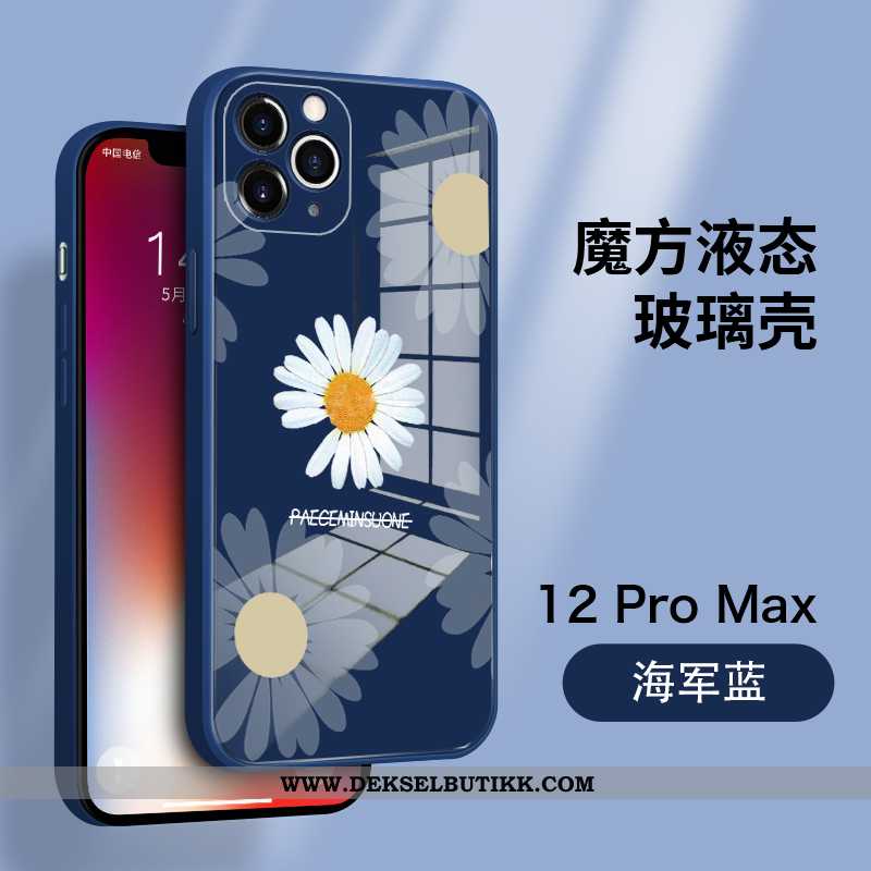 Deksel iPhone 12 Pro Max Av Personlighet Anti-fall Tynne Beskyttelse Blå, Etui iPhone 12 Pro Max Tre