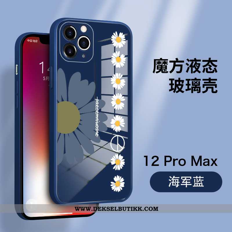 Deksel iPhone 12 Pro Max Av Personlighet Anti-fall Tynne Beskyttelse Blå, Etui iPhone 12 Pro Max Tre