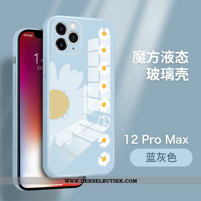 Deksel iPhone 12 Pro Max Av Personlighet Anti-fall Tynne Beskyttelse Blå, Etui iPhone 12 Pro Max Tre