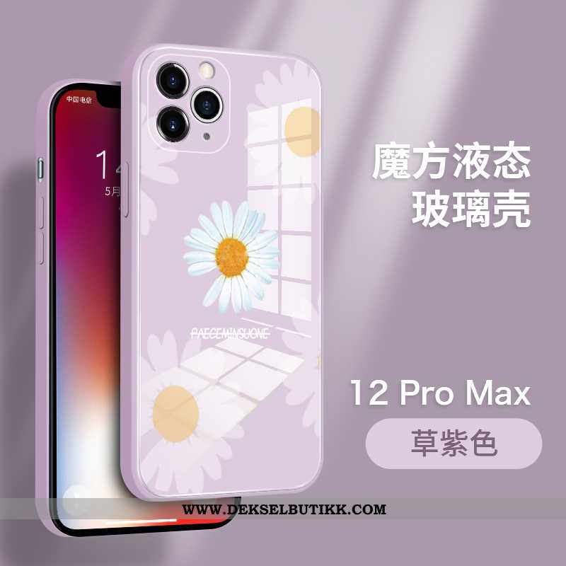 Deksel iPhone 12 Pro Max Av Personlighet Anti-fall Tynne Beskyttelse Blå, Etui iPhone 12 Pro Max Tre