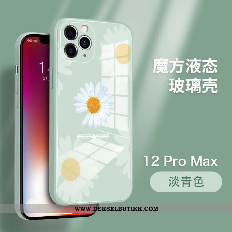 Deksel iPhone 12 Pro Max Av Personlighet Anti-fall Tynne Beskyttelse Blå, Etui iPhone 12 Pro Max Tre