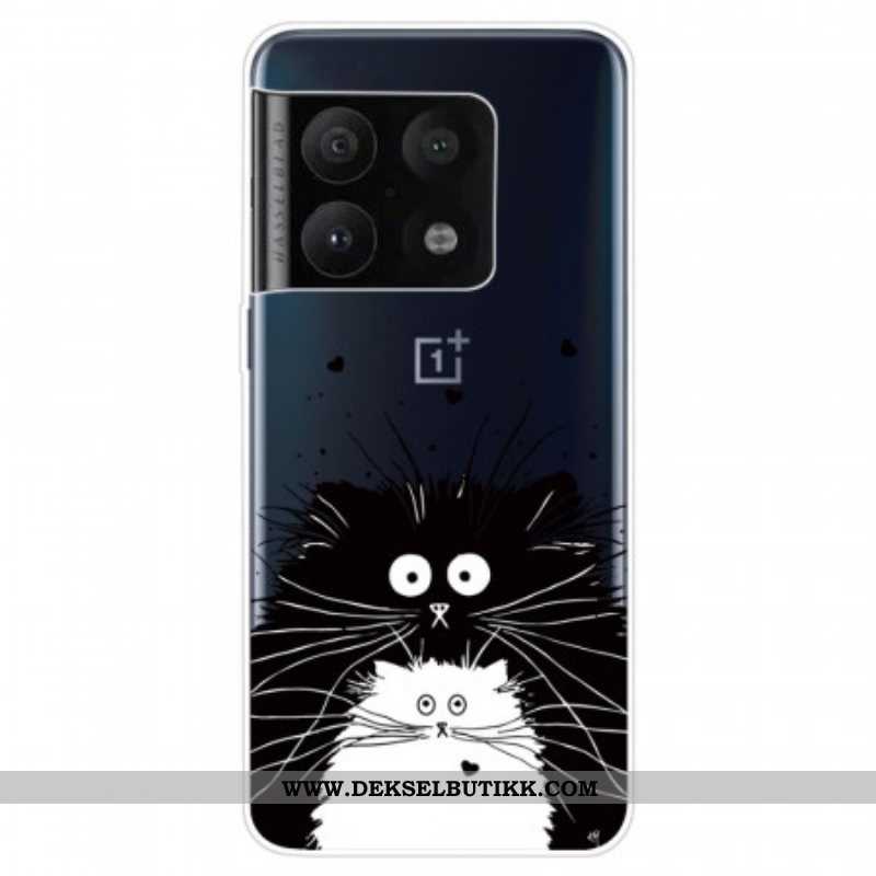 Deksel Til OnePlus 10 Pro 5G Overrasket Katter