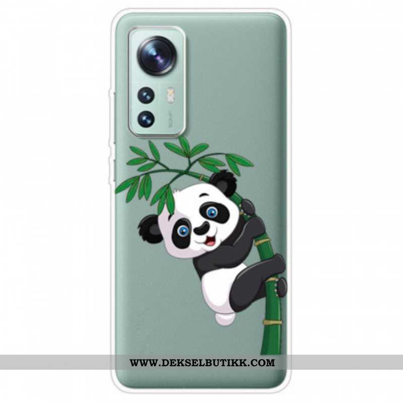 Deksel Til Xiaomi 12 / 12X Panda På Bambus