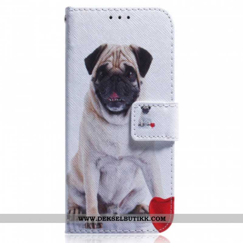 Folio Deksel Til Samsung Galaxy M33 5G Mops Hund