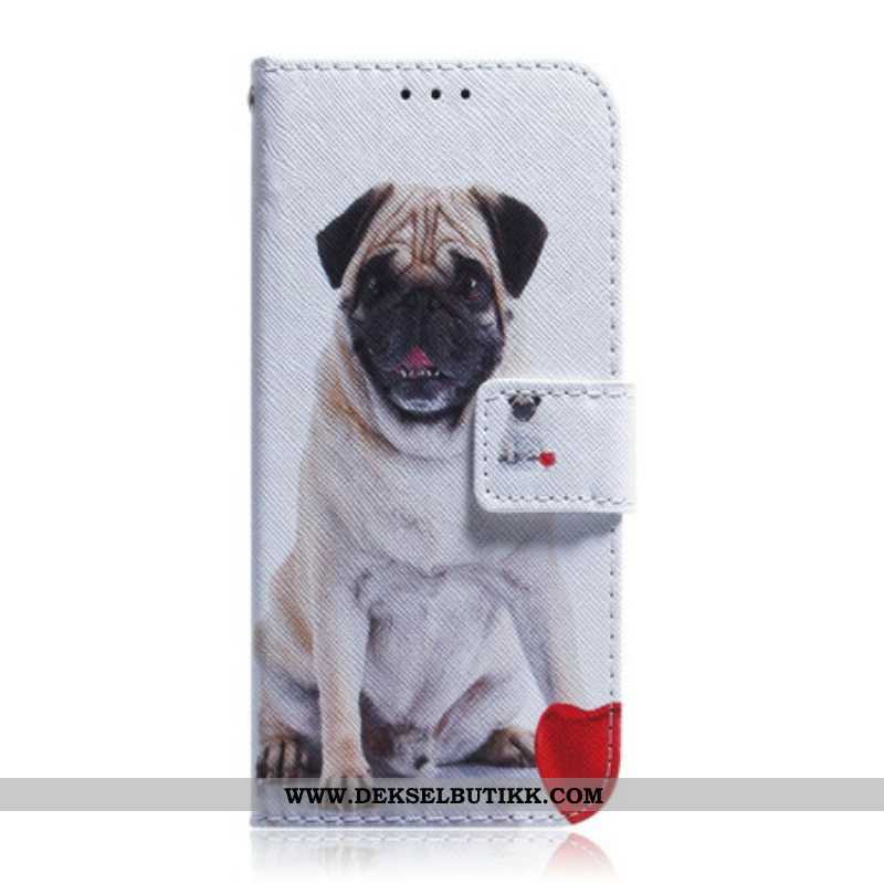 Folio Deksel Til Samsung Galaxy S21 5G Mops Hund