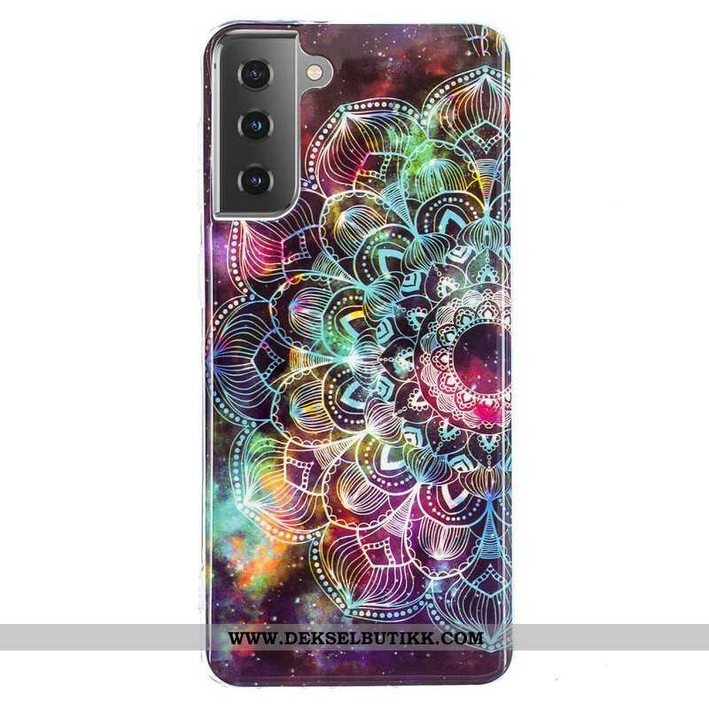 Mobildeksel Til Samsung Galaxy S21 5G Fluorescerende Blomsterserie